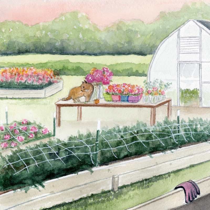 flower farming image 01