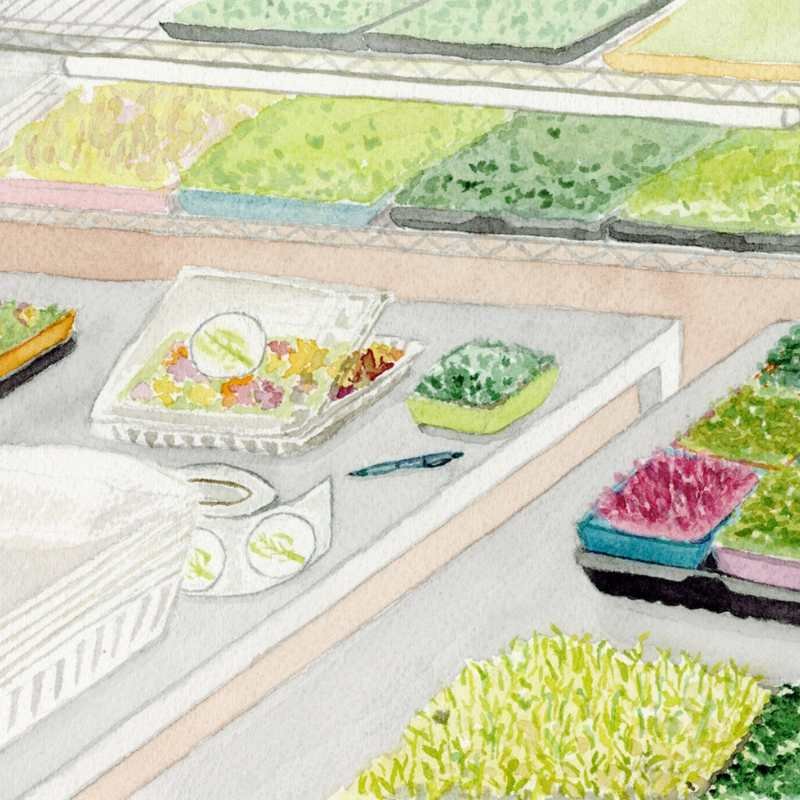 microgreens image 01