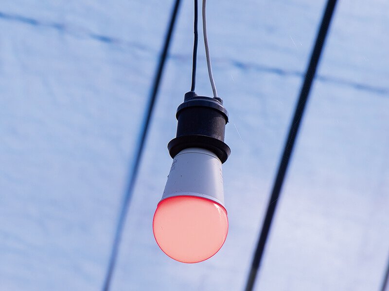 red leds (1)