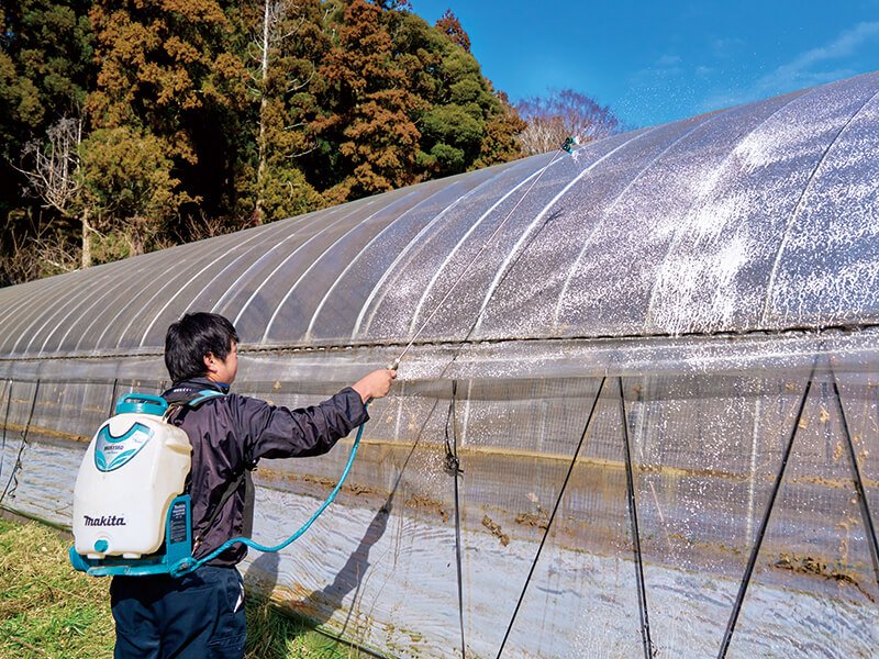 solar radiation in greenhouses (6)