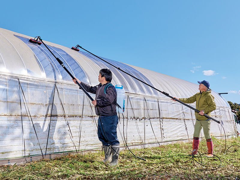 solar radiation in greenhouses (7)