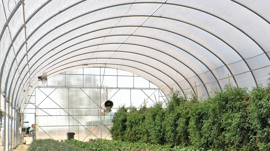 Agrisy High Tunnels