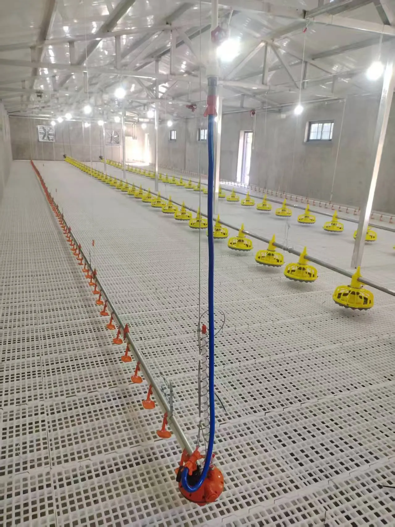 Automated Livestock Feeding & Drinking Systems