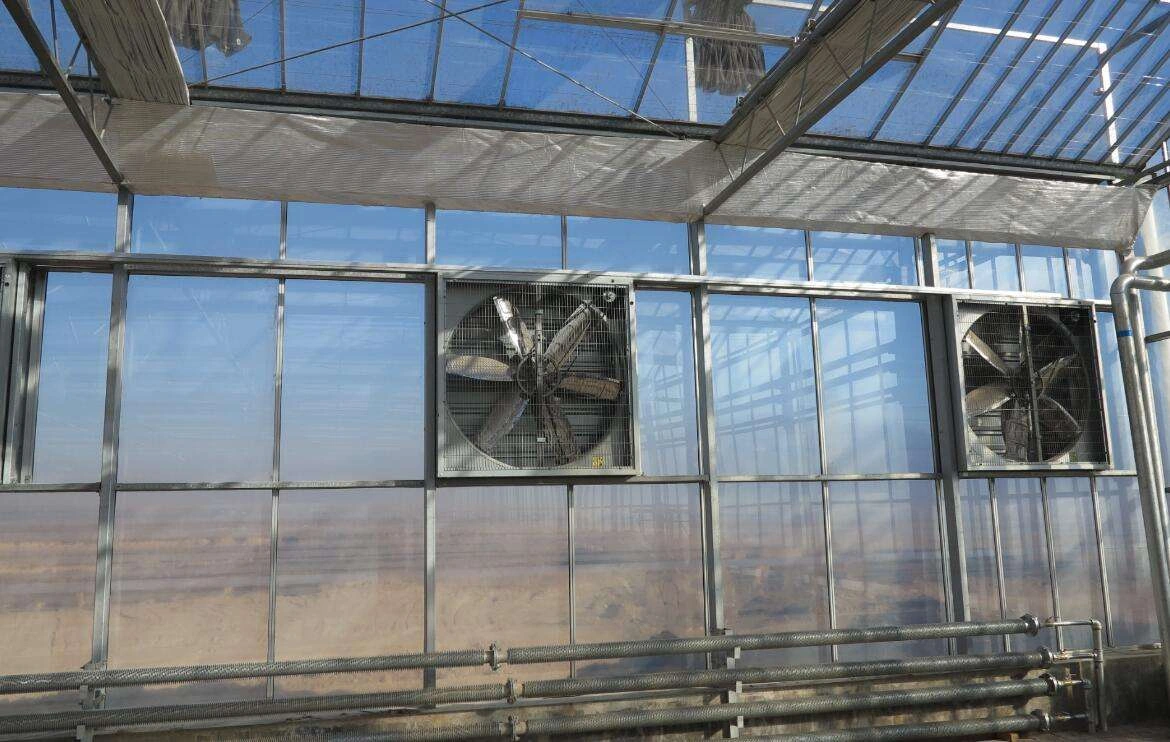 Exhaust Fans