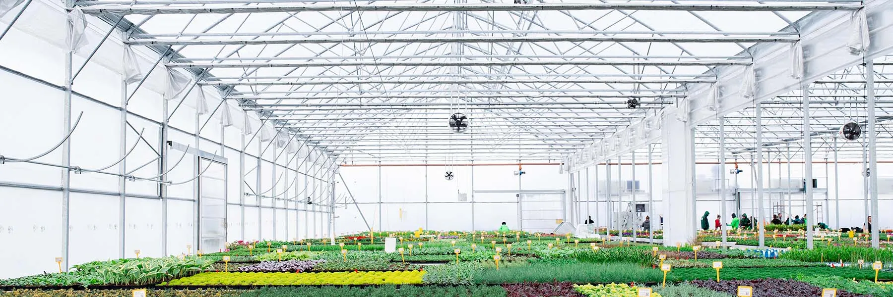 Functional Retail & Nursery Greenhouses