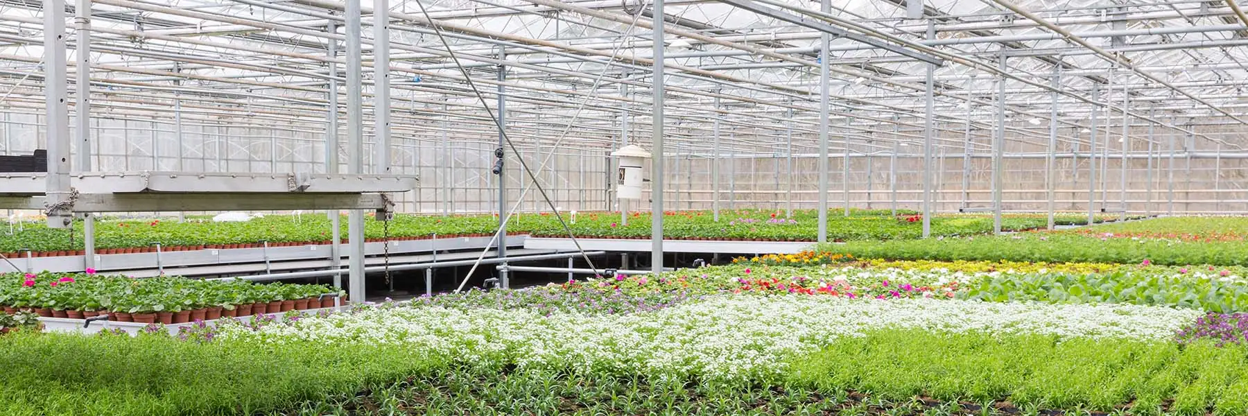 Functional Retail & Nursery Greenhouses