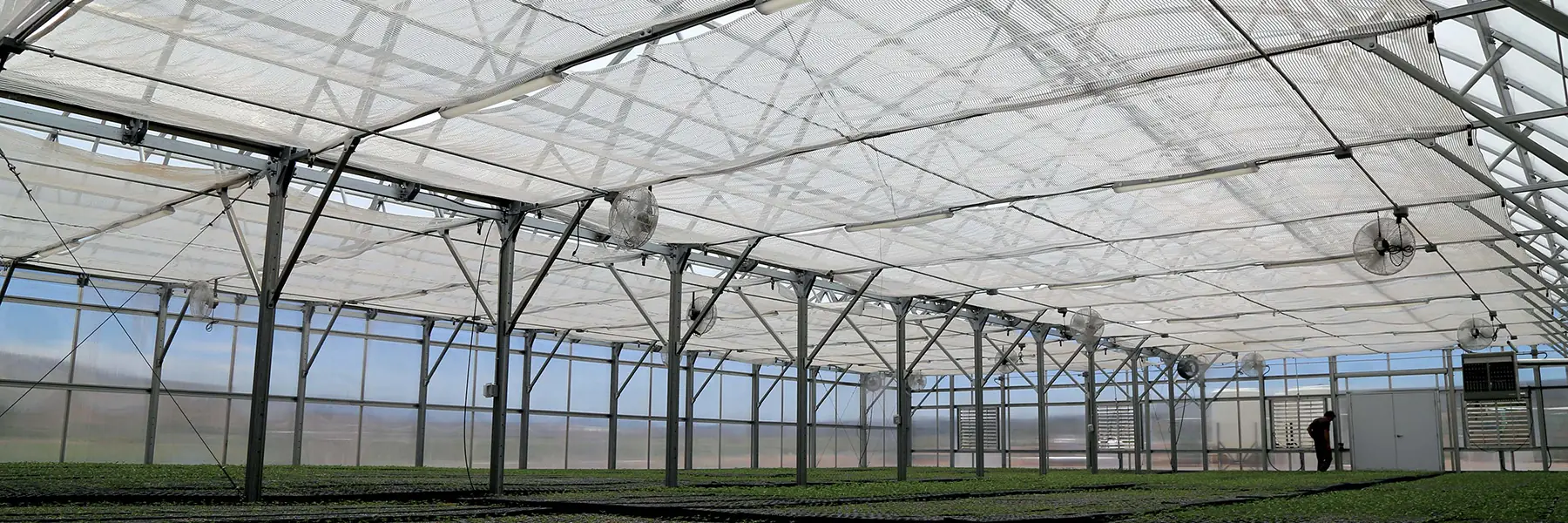 High-Efficiency Hemp Greenhouses