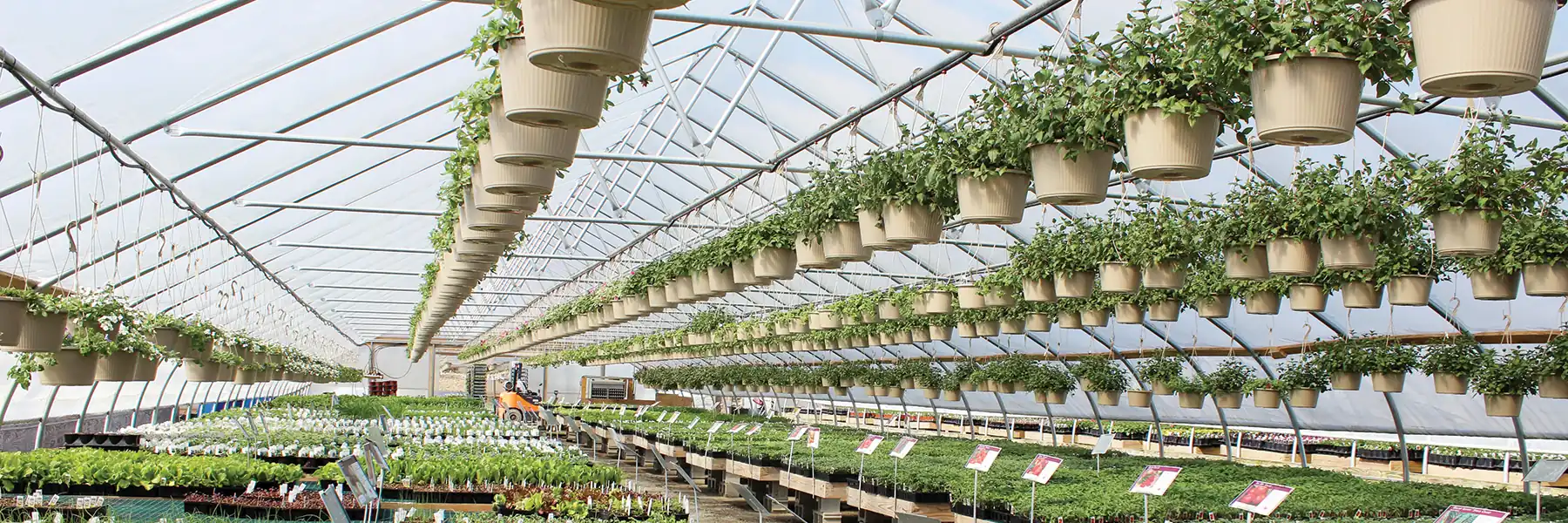 High-Yield Vegetable & Flower Greenhouses