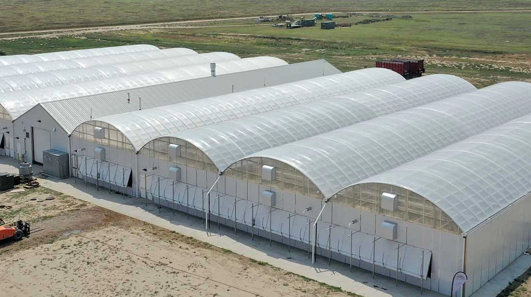 Horticulture Headhouses