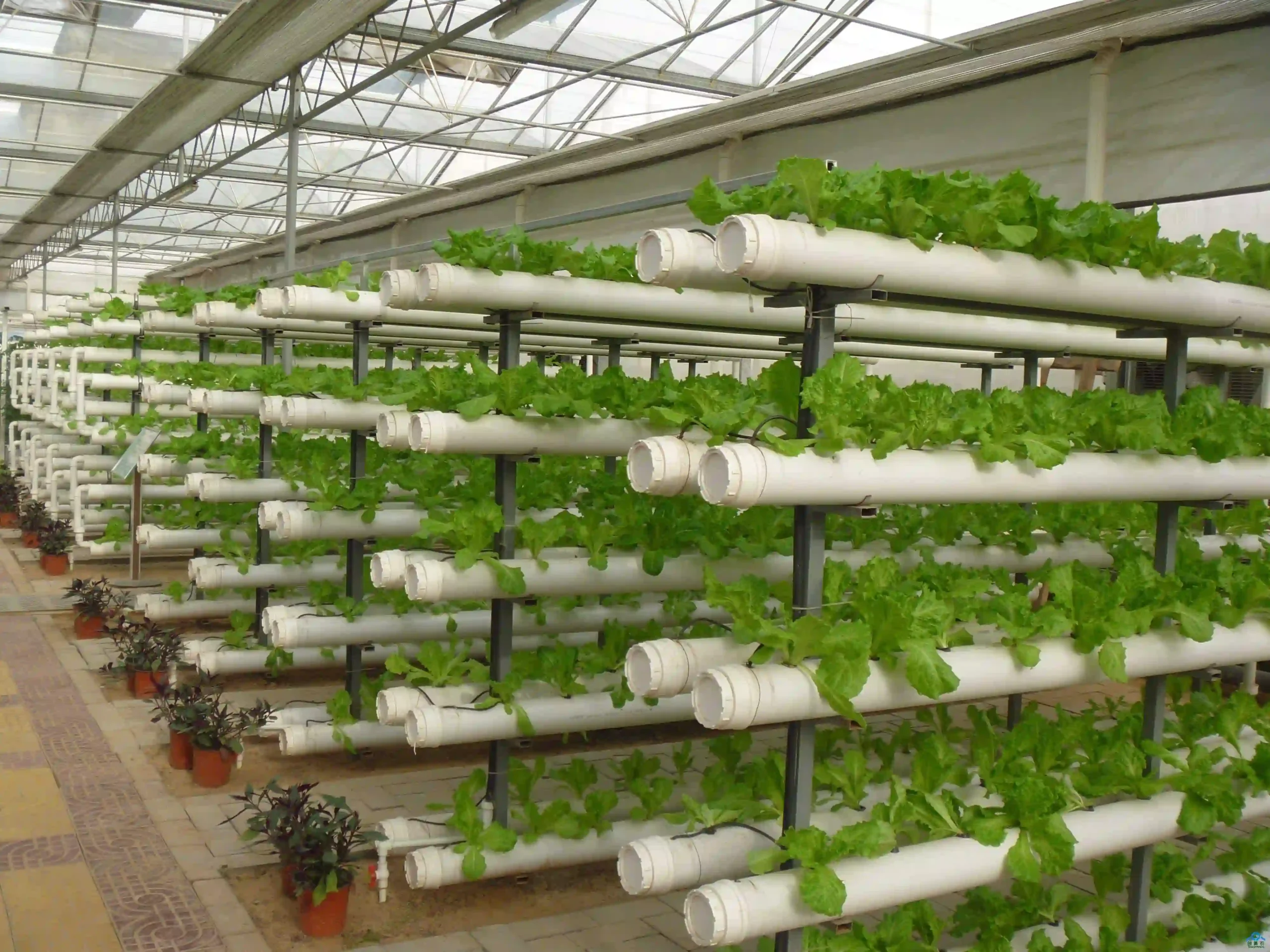 Hydroponic Systems