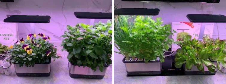 hydroponics (1)