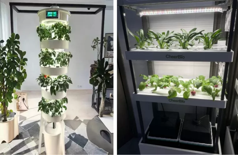 hydroponics growing the future in limited space (1)