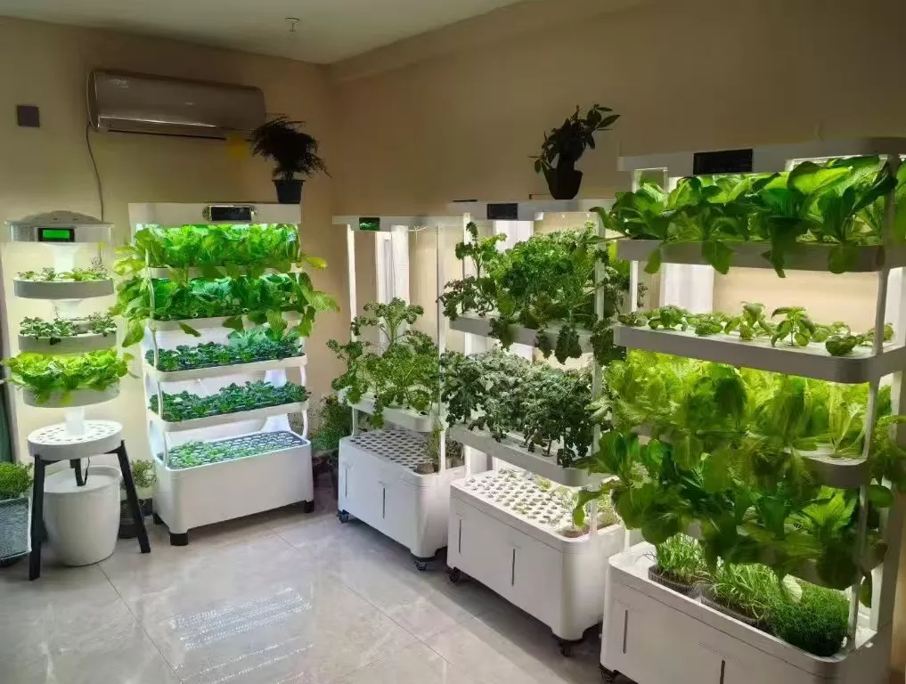 hydroponics growing the future in limited space (3)