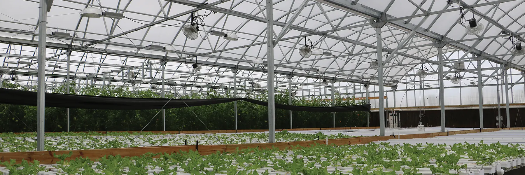 Innovative HydroCycle Hydroponic Systems