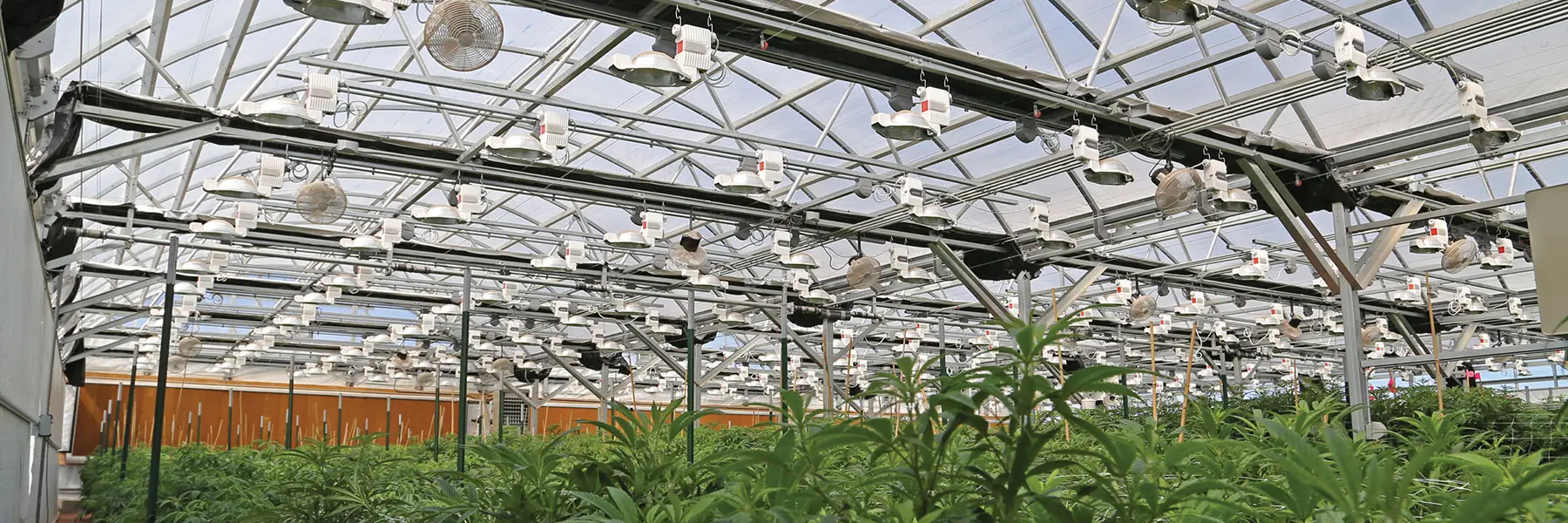 Premium Cannabis Greenhouses