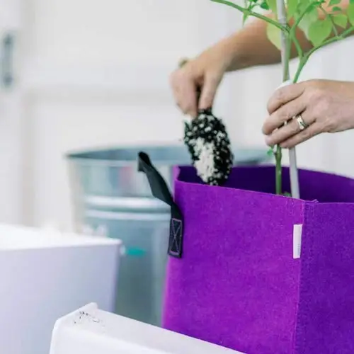 product homepage thumbnail (7)