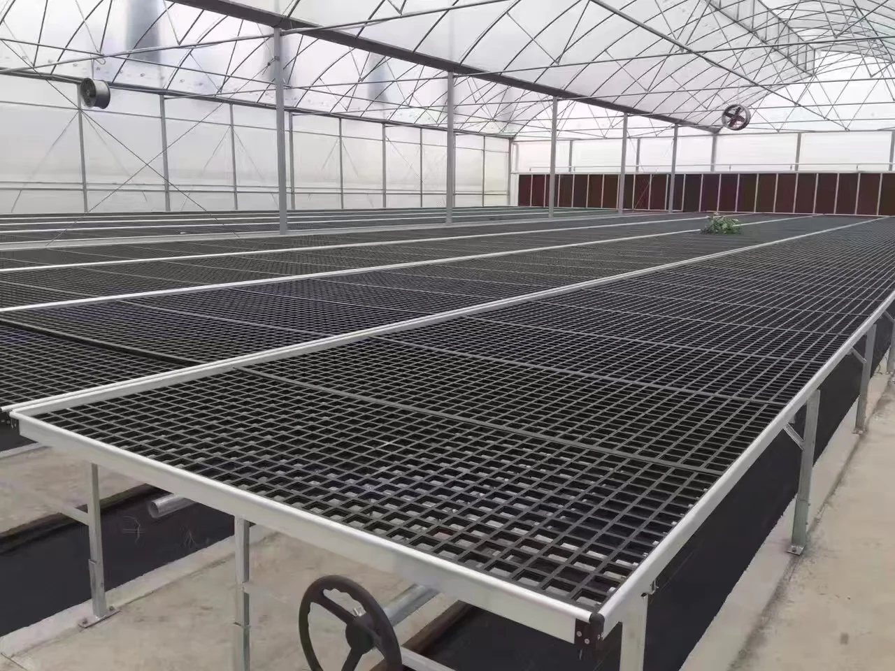 Seedling Bench Systems & Growing Trays
