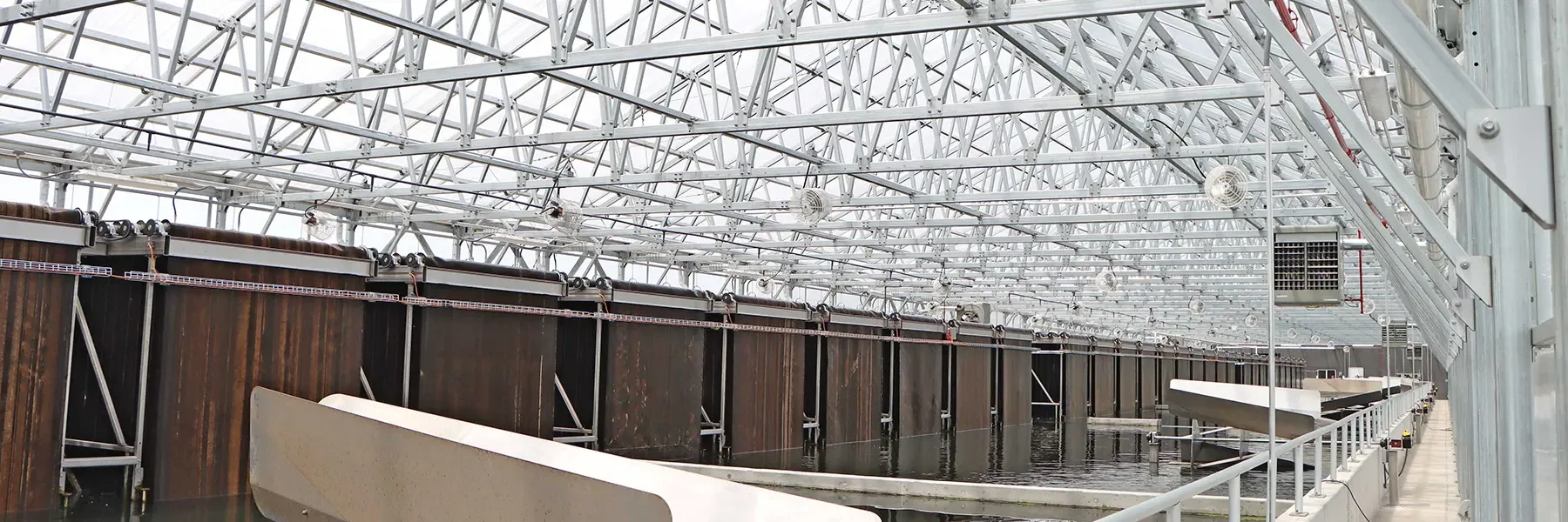 Sustainable Algae Farming & Wastewater Greenhouses