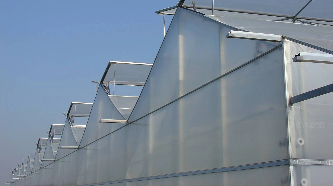 Agrisy Greenhouse WideSpan Venlo Greenhouses