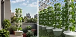 hydroponic pineapple tower (2)