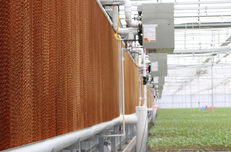 Greenhouse Evaporative Cooling